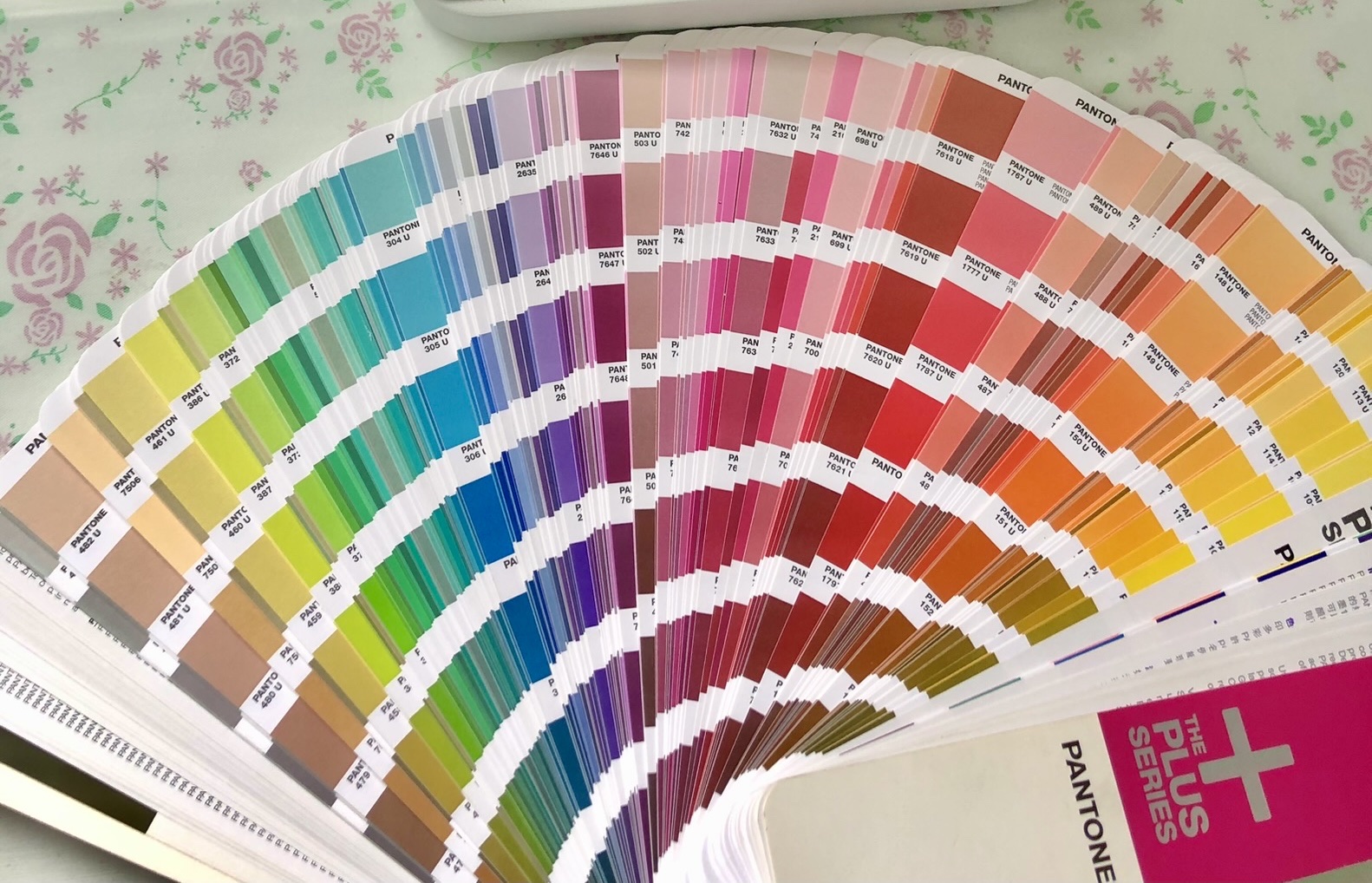 z4263939632244_b2d92883ee4b85606c0d3412861239c2